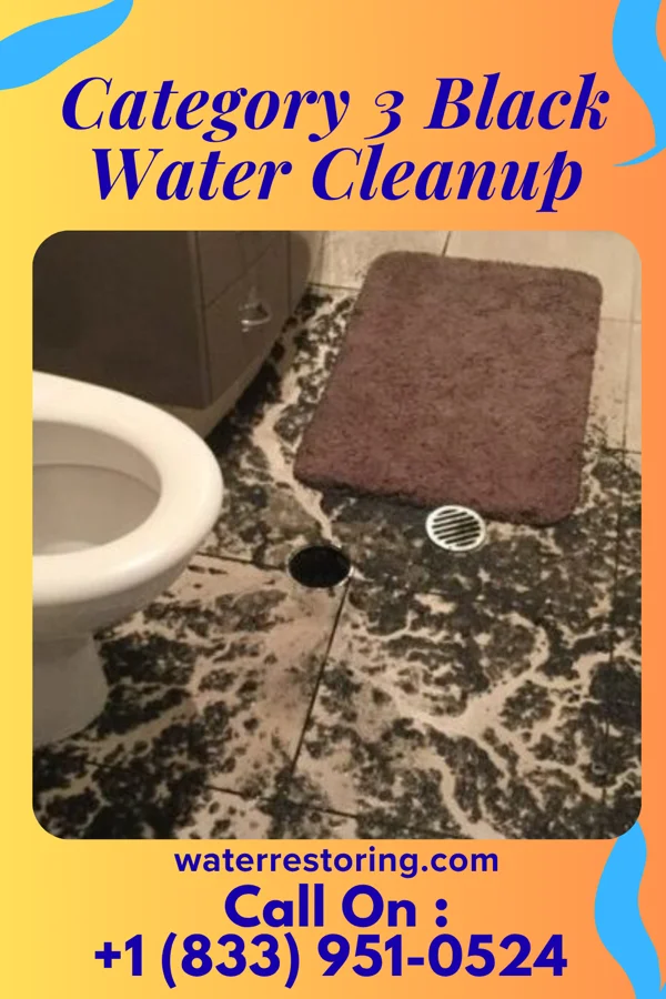 Category 3 Black Water Cleanup in Hollins, VA