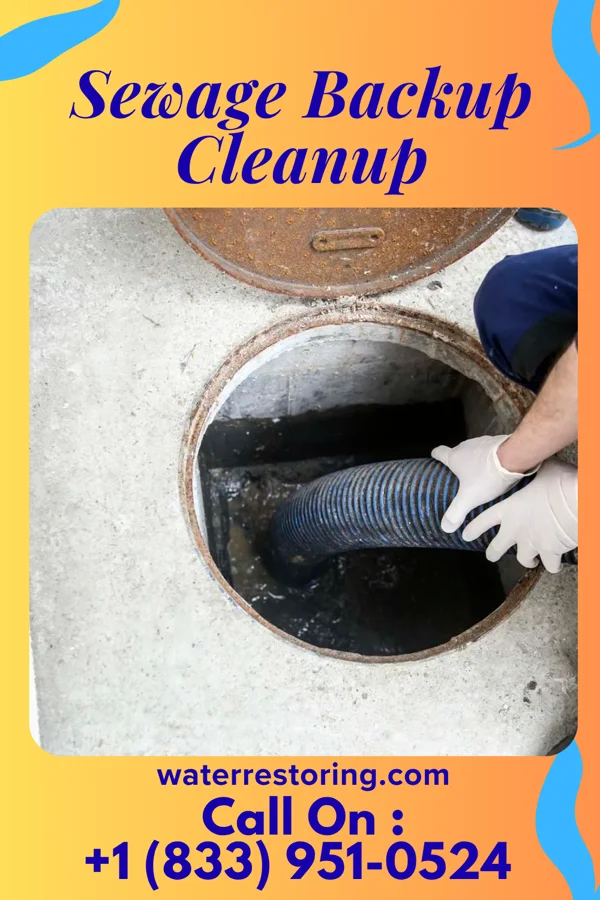 Sewage Backup Cleanup in Hollins, VA
