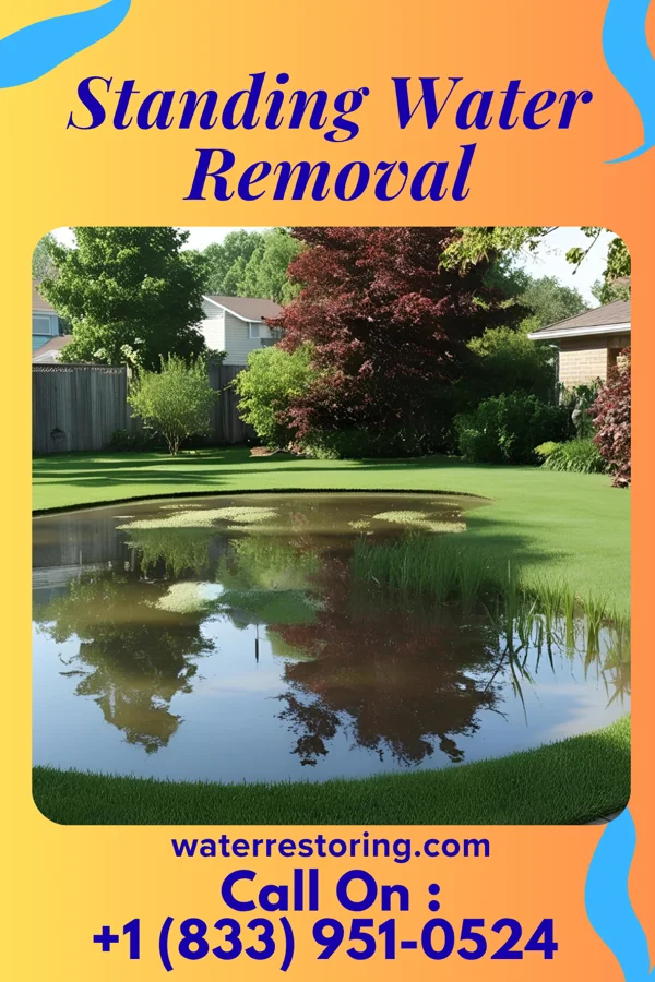 Standing Water Removal in Hollins, VA